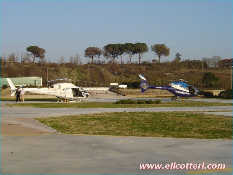 elifoto (63)